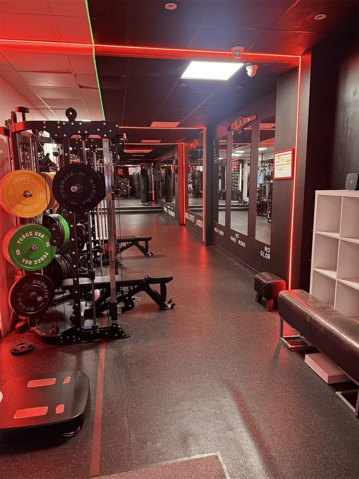 Alborz Fitness — Boxing in Raynes Park, London