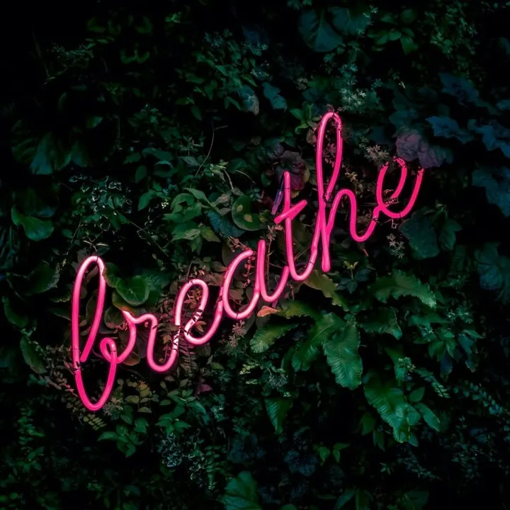 Vital Flow Breathwork — Breathwork in Middle Park, London