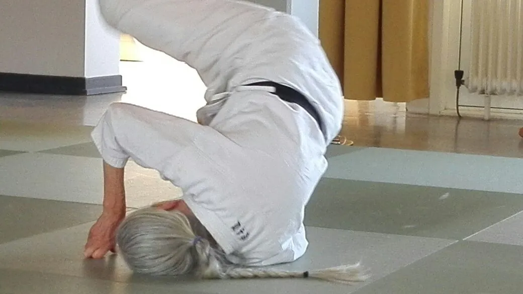 Ki Aikido Trier-Land e.V. — kampfsport-studio in Welschbillig — 6