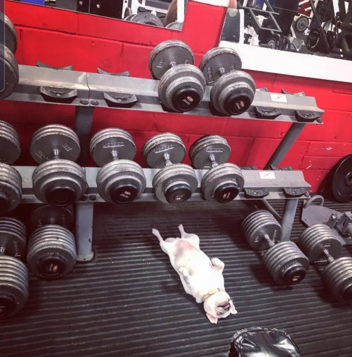 Leigh Fitness — fitness studio in Havant — 5