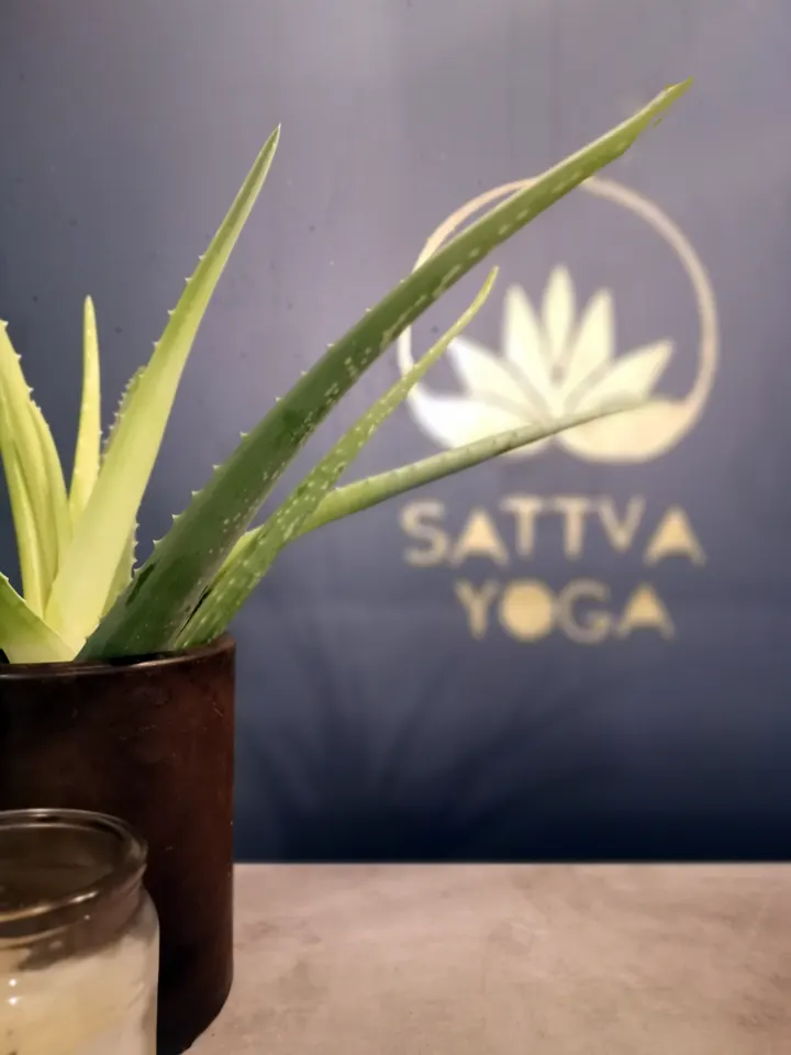 Sattva Yoga — yoga-studio i Centrum, Umeå — 2