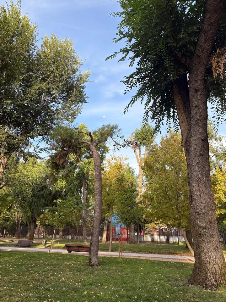 PARQUE STREET WORKOUT LA CHOPERA — Estudio de fitness en Zarzaquemada, Leganés