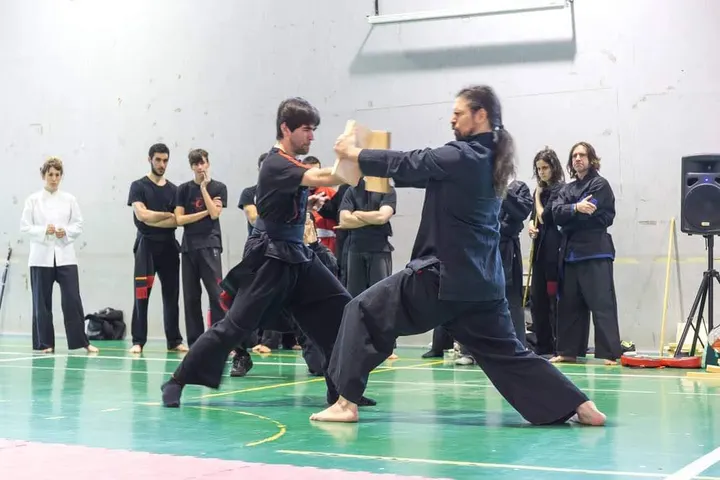 Da You Kung Fu — artes marciales-studio en Las Gaunas, Logroño — 3