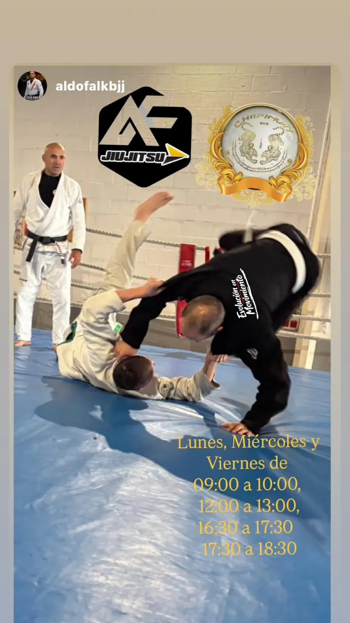 Falk Jiu-jitsu Logroño — artes marciales-studio en Varea, Logroño — 3