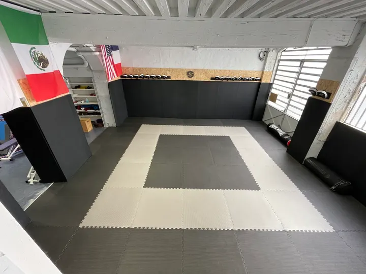Ollin Krav Maga Lyon 2 — arts martiaux-studio à Lyon — 3