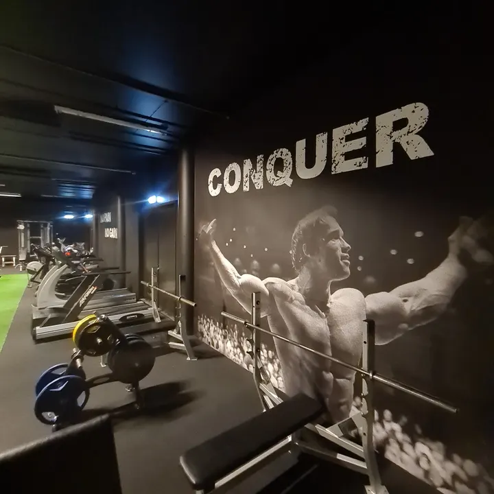 Alpha Gym — treningsstudio i Karmsund — 4