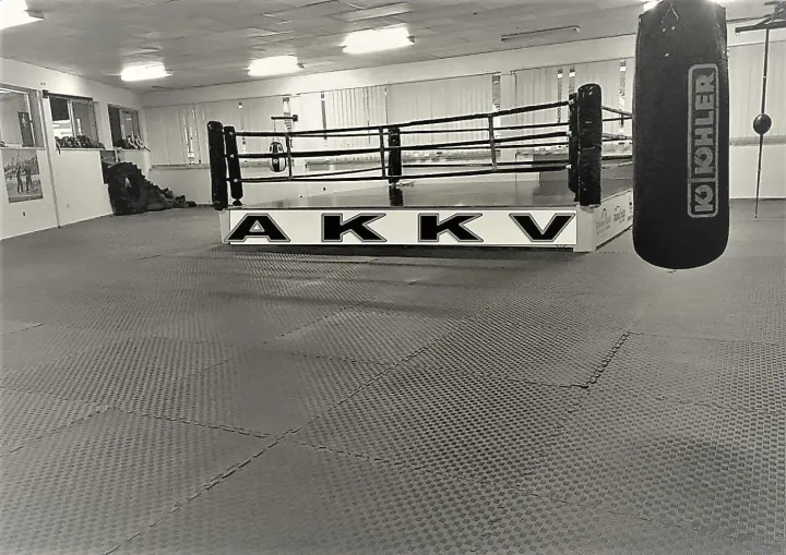 Associação de Karaté de Viseu — Artes marciais em Monte Salvado, Viseu