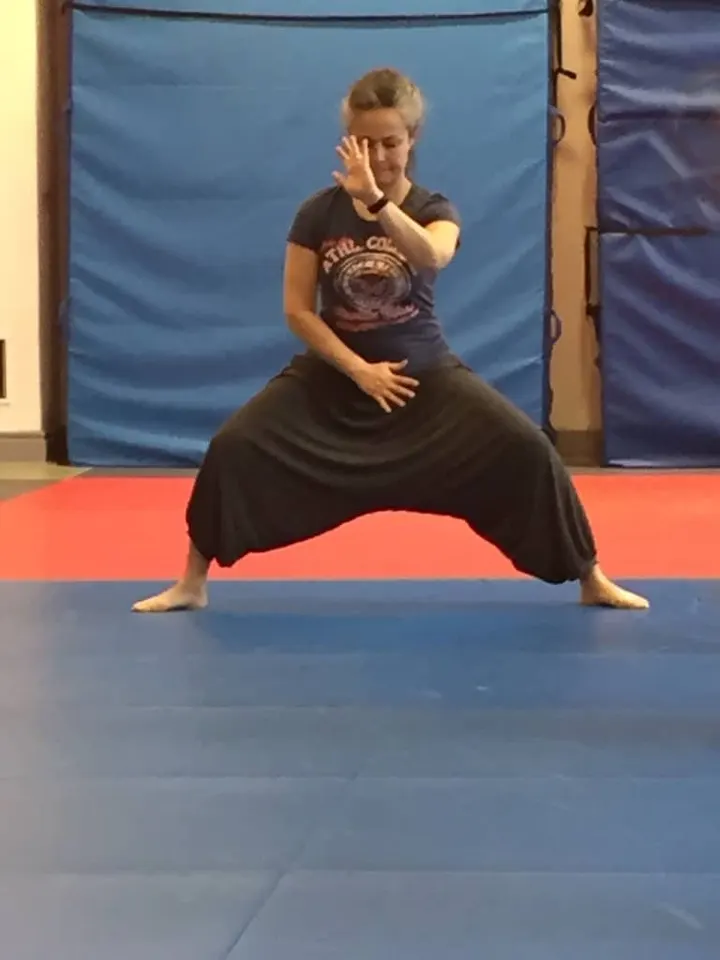 Shinson Hapkido Hvidovre — wellness-studio i Avedøre, Hvidovre