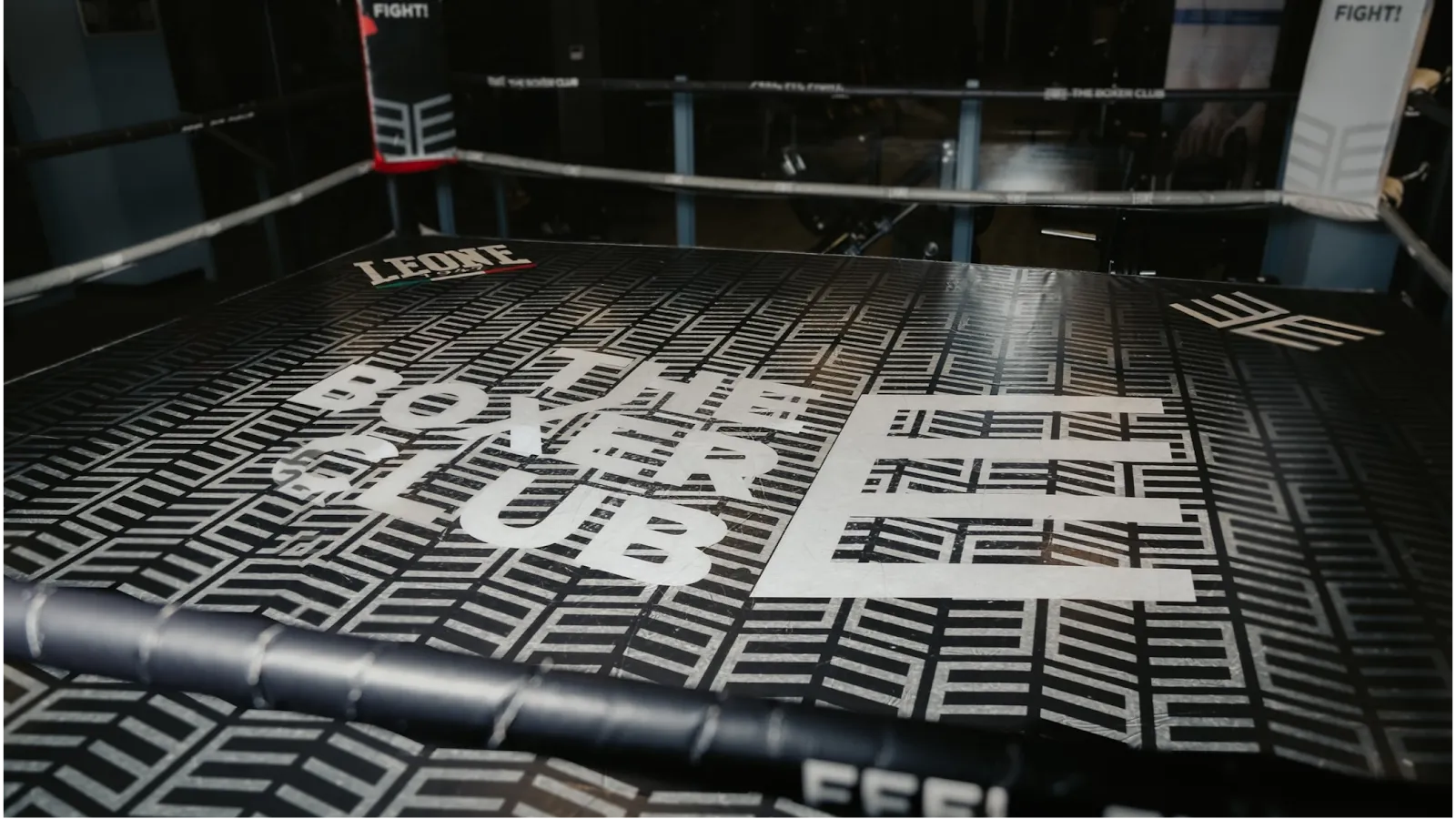 The Boxer Club León Plaza — boxeo-studio en León — 3