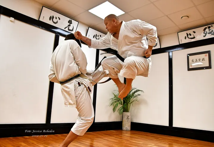 Karateklubb Kokoro-Kai Dojo Varberg — kampsport-studio i Sörse, Varberg — 2