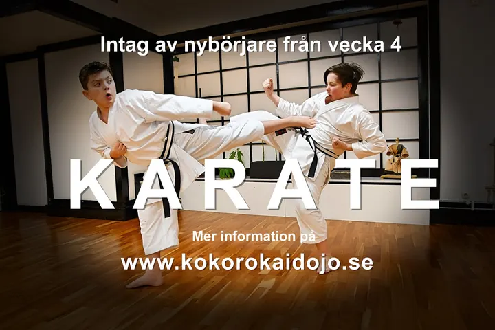 Karateklubb Kokoro-Kai Dojo Varberg — kampsport-studio i Varberg — 3