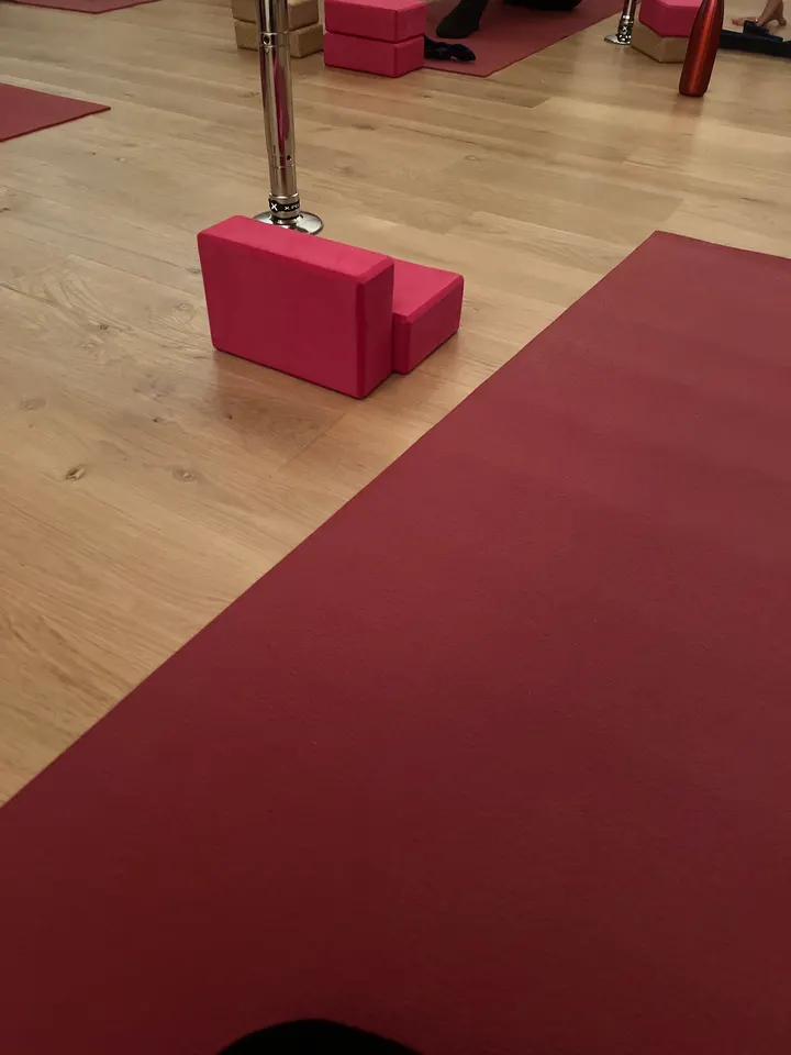 Vertical Academy Pole — Danse à Bourse-Esplanade-Krutenau, Strasbourg