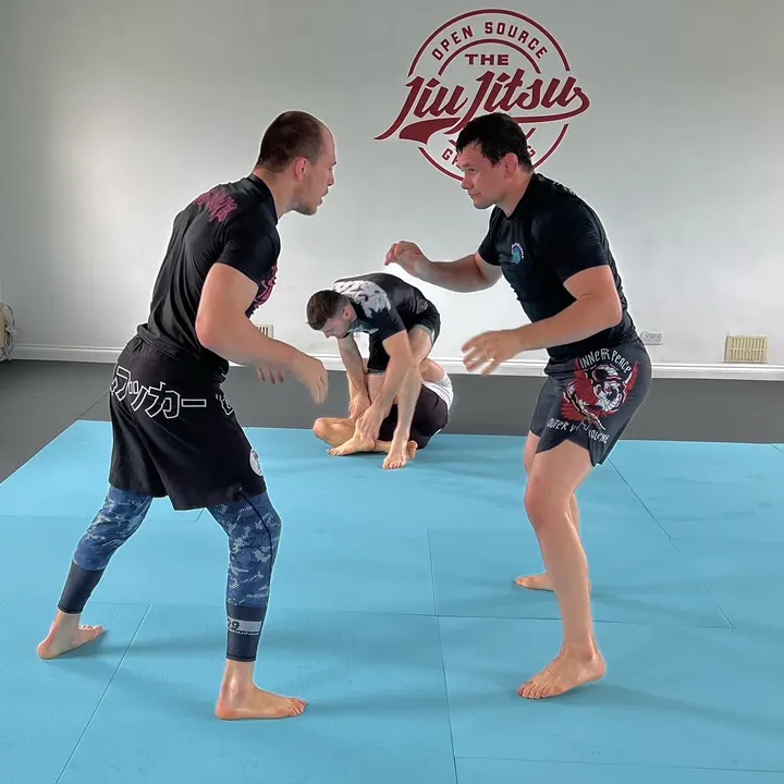 The Jiu Jitsu Gym — bjj-studio in Kingston Upon Thames, London — 3