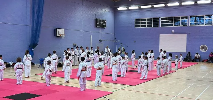Phoenix SMA Locks Heath — Martial Arts in Hook, Southampton