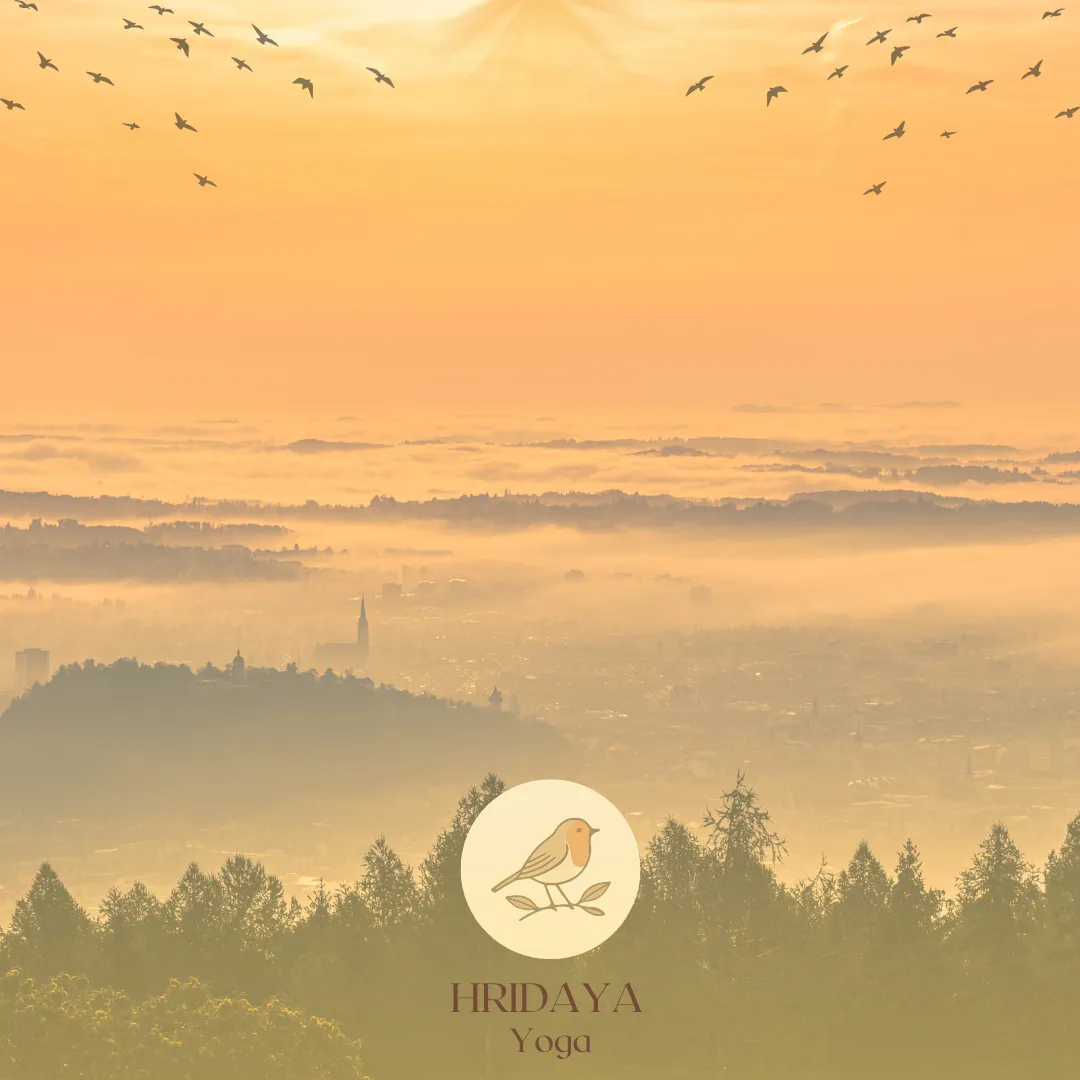 HRIDAYA Yoga Mülheim — yoga-studio i Duisburg — 3