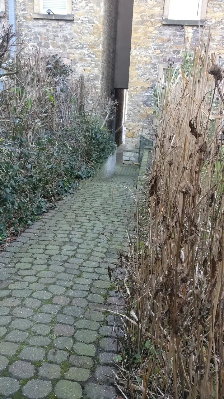 Klangzentrum — wellness-studio in Sonnenhügel, Osnabrück — 3