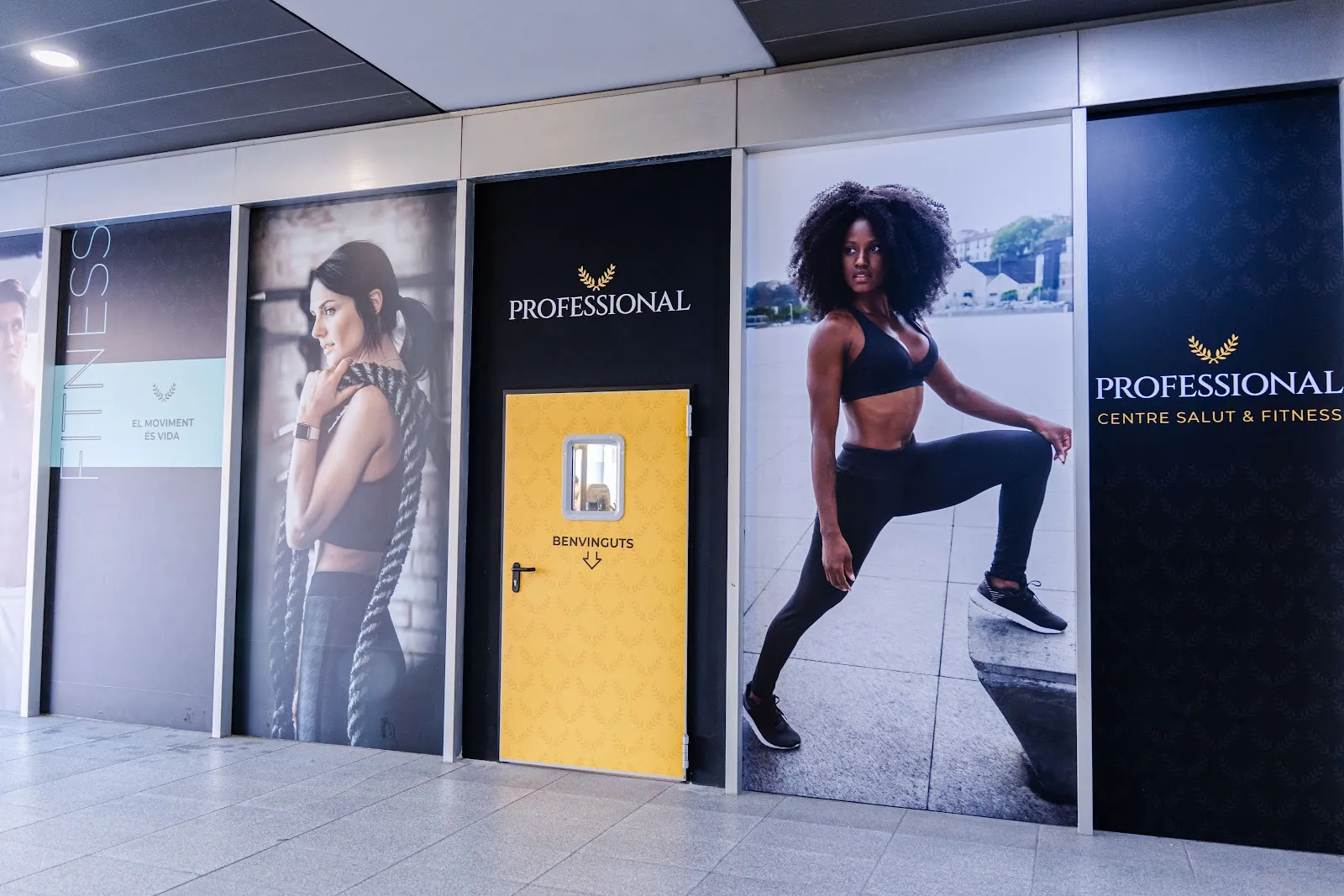 Gimnàs Profesional Fitness SL. — estudio de fitness-studio en Girona — 3