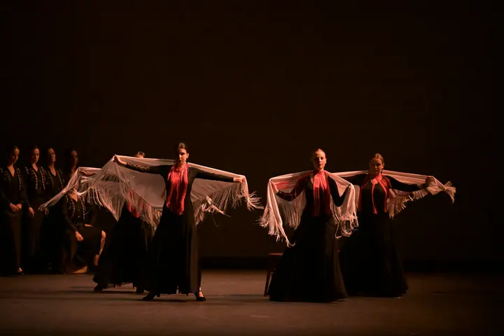 Centro de Danza Karel — baile-studio en Gijón — 3