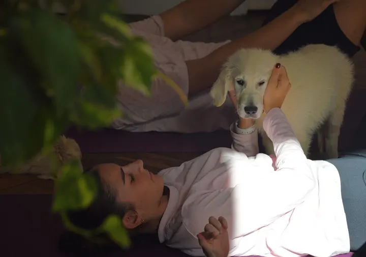 Puppy Yoga Center Bordeaux — yoga-studio à Bordeaux Maritime, Bordeaux — 2