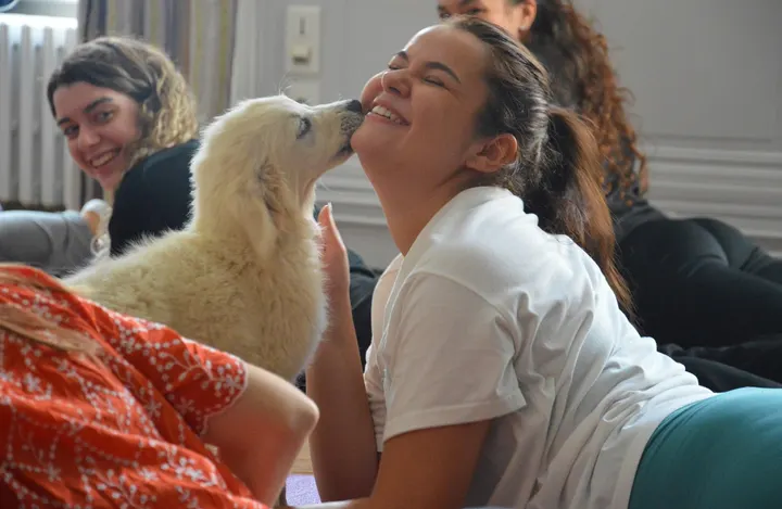 Puppy Yoga Center Bordeaux — yoga-studio à Bordeaux — 3