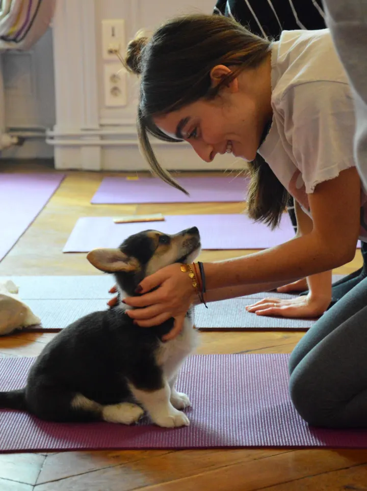 Puppy Yoga Center Bordeaux — Yoga à Bordeaux Maritime, Bordeaux