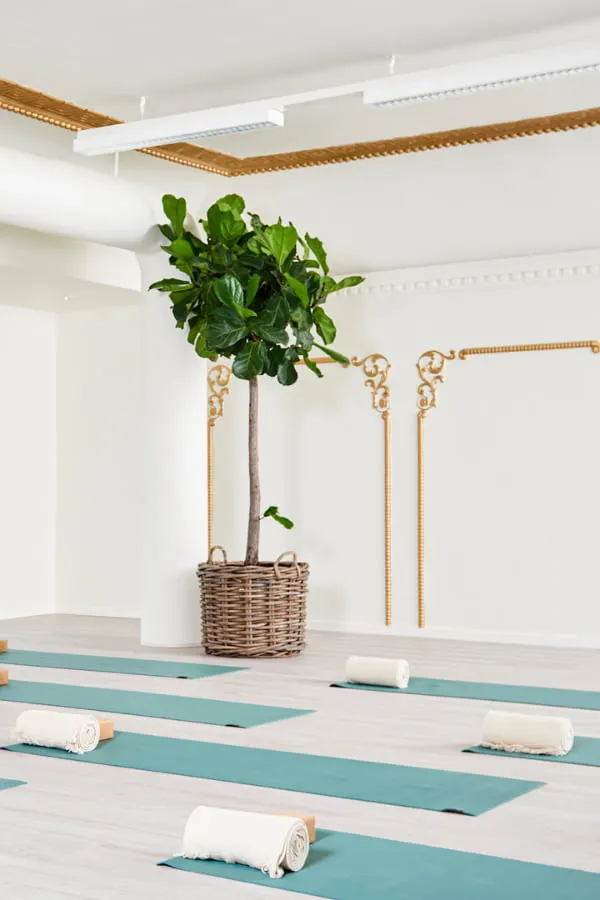 GreyFit & Habits — wellness-studio i Sankt Jørgensmark, Odense