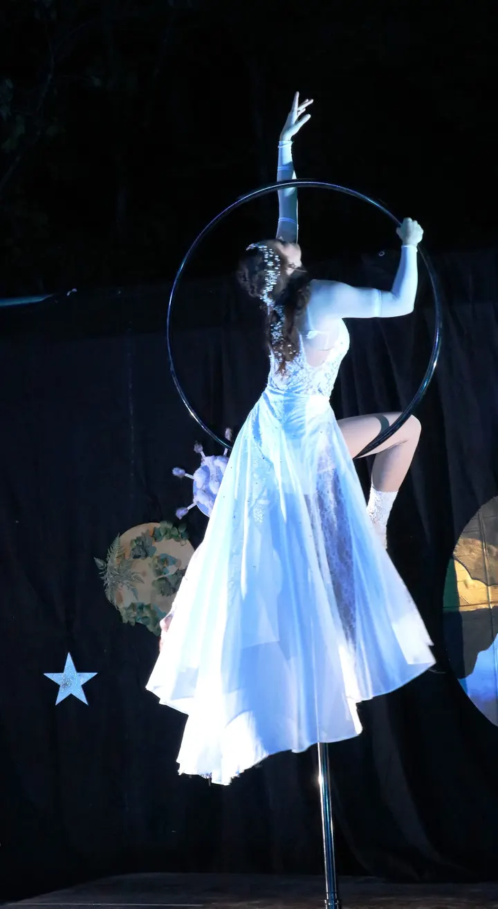 Aerial Cherry Studio — pole fitness-studio aux Herbiers — 3