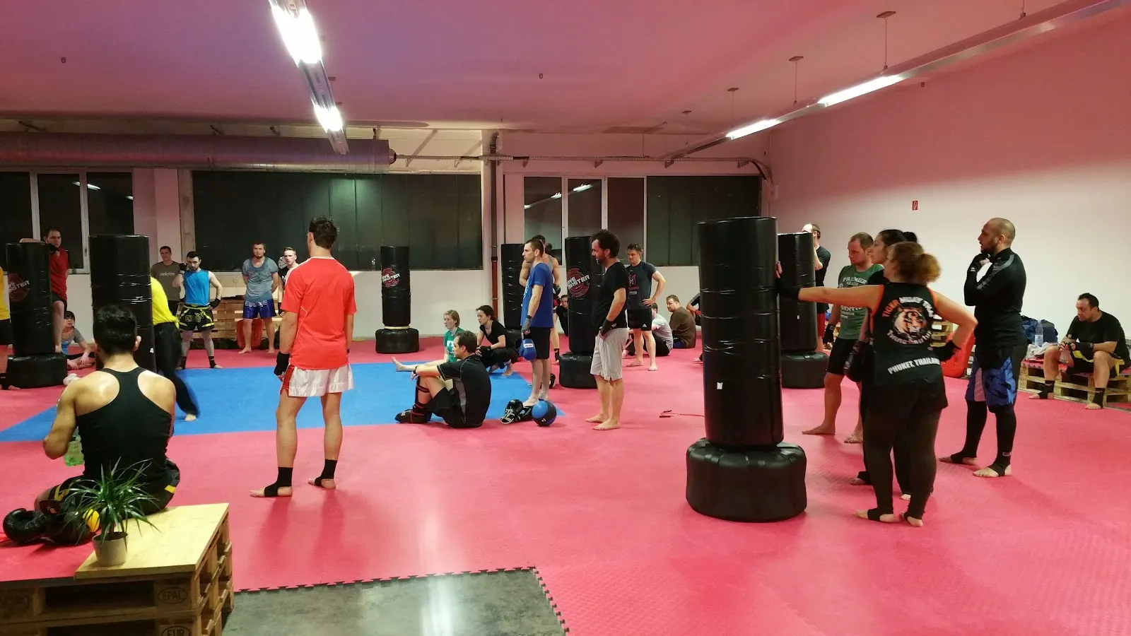 CKteam Kampfsportschule — boxen-studio in Altstadt-Süd, Köln — 2