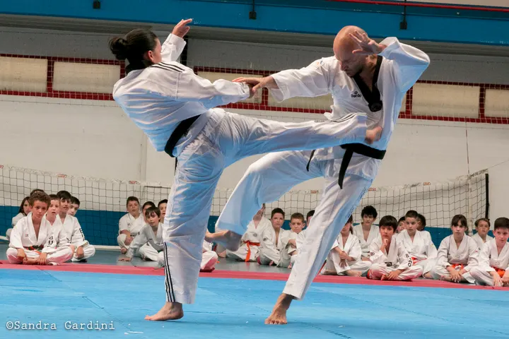 ASOCIACION DEPORTIVA BUDO CASTRELOS — artes marciales-studio en Vigo — 4