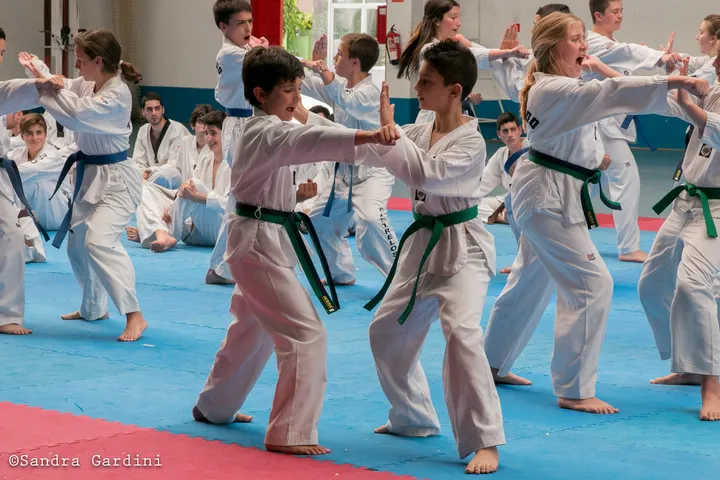 ASOCIACION DEPORTIVA BUDO CASTRELOS — artes marciales-studio en Vigo — 5