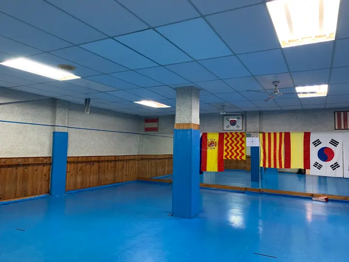 Taekwondo Cha Tarragona — Artes marciales en Nou Eixample Nord, Tarragona