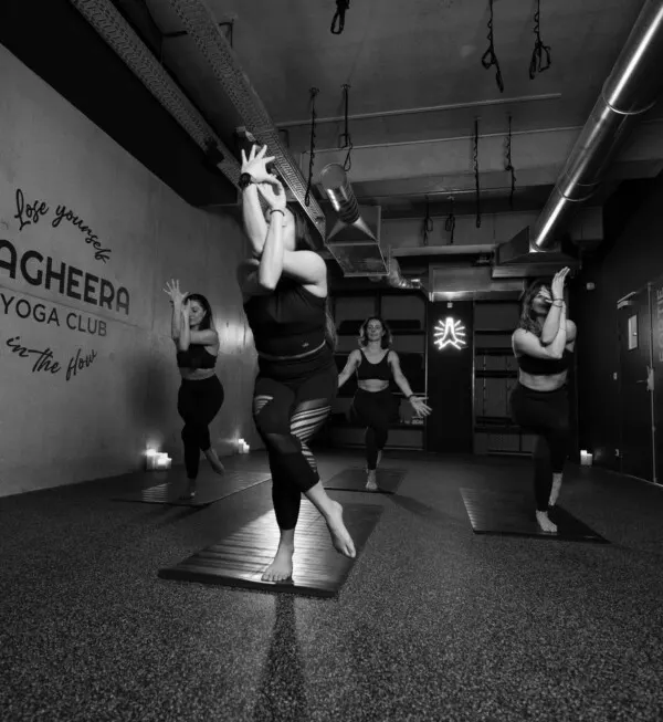 Bagheera Yoga Club Route de Launaguet — yoga-studio à Toulouse — 4