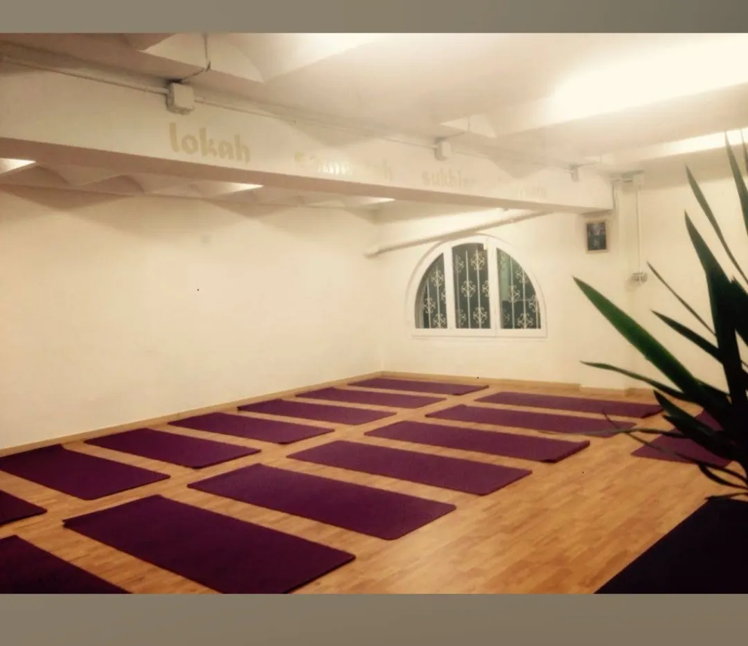 Annahatha-Ioga&mindfulness - Centro De Yoga, Mindfulness I Coaching — yoga-studio en Valls — 3