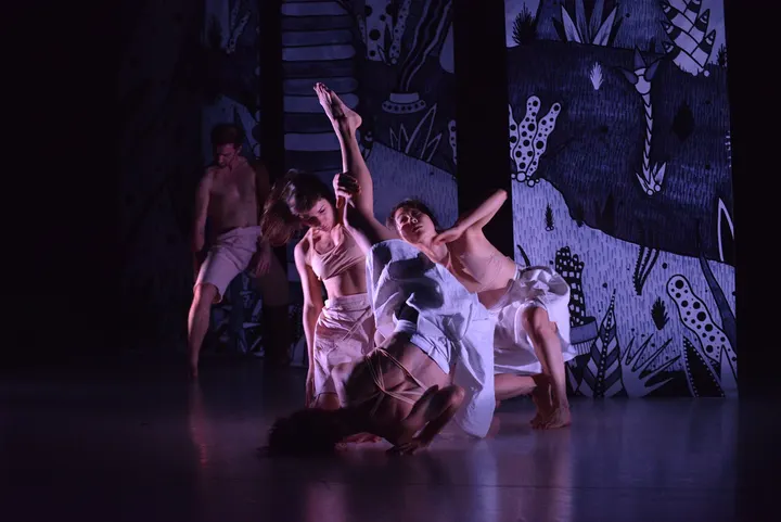 Ridzcompagnie — Danse à Haute Ville, Toulon