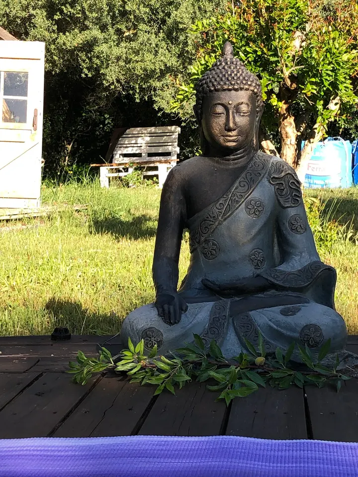 Sweet Om Yoga — yoga-studio en s'Arracó — 4