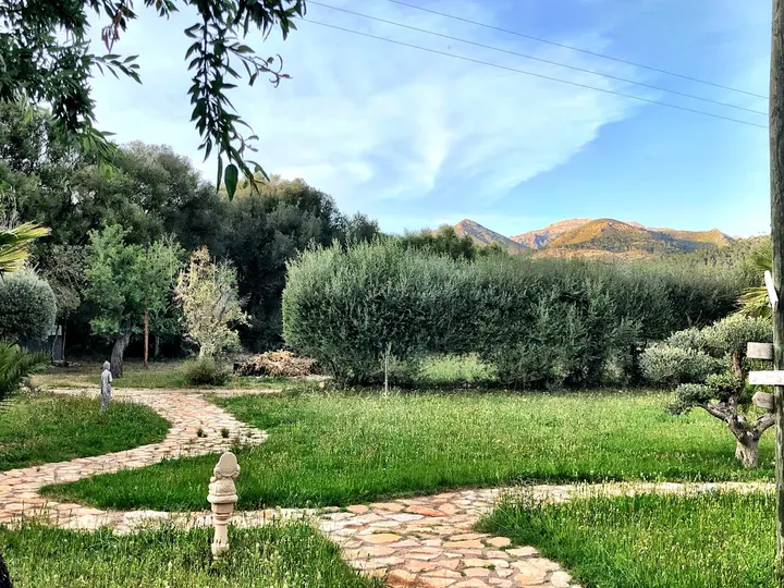 Sweet Om Yoga — yoga-studio en s'Arracó — 5