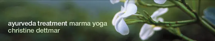 Ayurveda Treatment Marma Yoga — yoga-studio in Innenstadt, Mannheim — 2