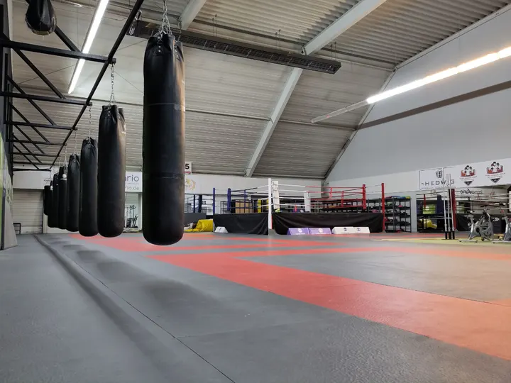 Boxclub Land des Feuers e.V. — kampfsport-studio in Sudenburg, Magdeburg — 2