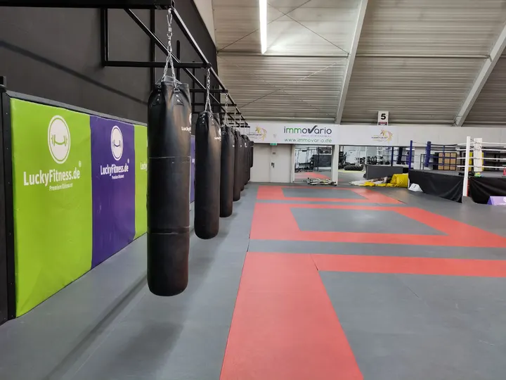 Boxclub Land des Feuers e.V. — kampfsport-studio in Magdeburg — 3
