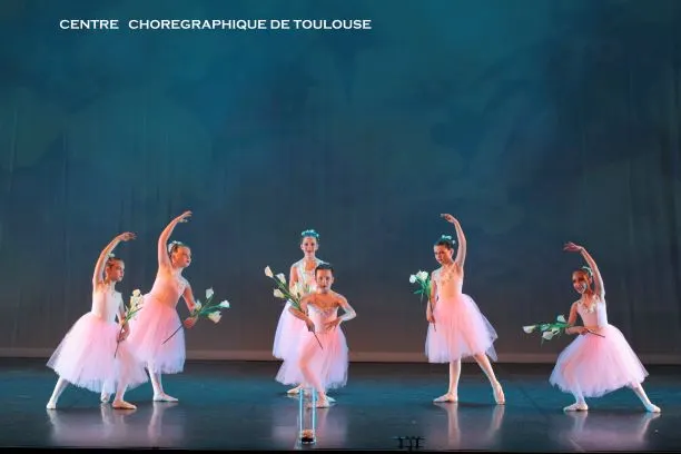 CCT Christine Delpont — danse-studio aux Chalets / Bayard / Belfort / Saint-Aubin / Dupuy, Toulouse — 3