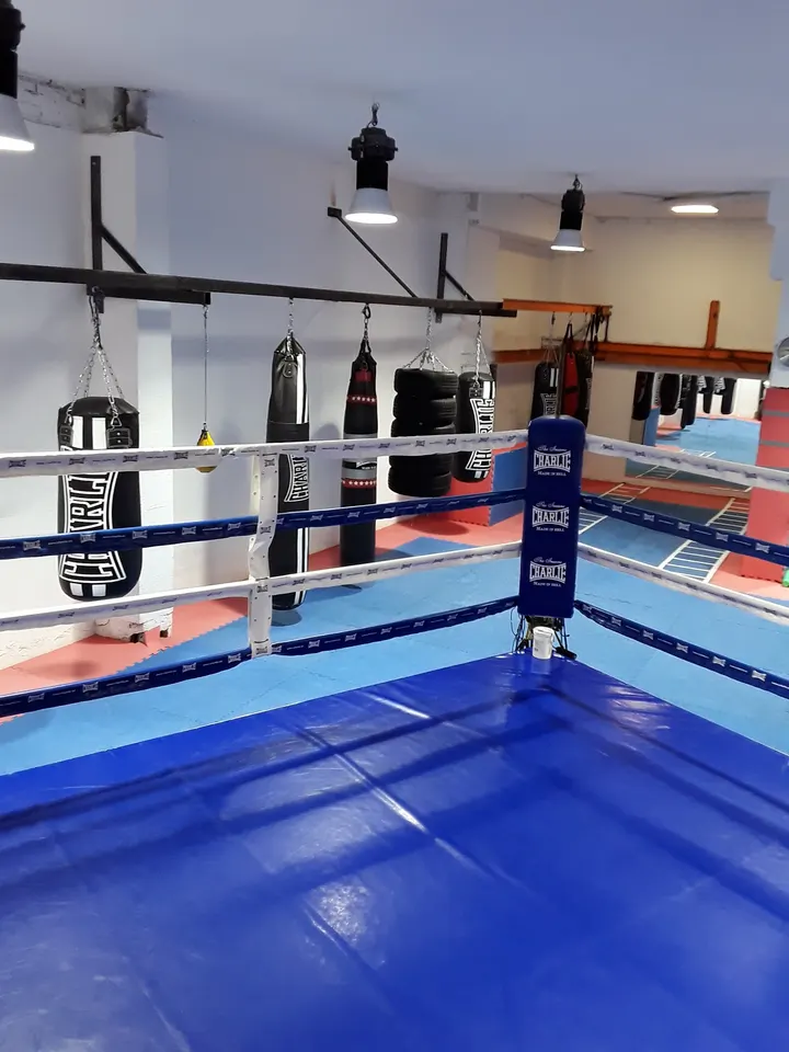 Gimnasio Boxeo La Roca — artes marciales-studio en Majadahonda — 3