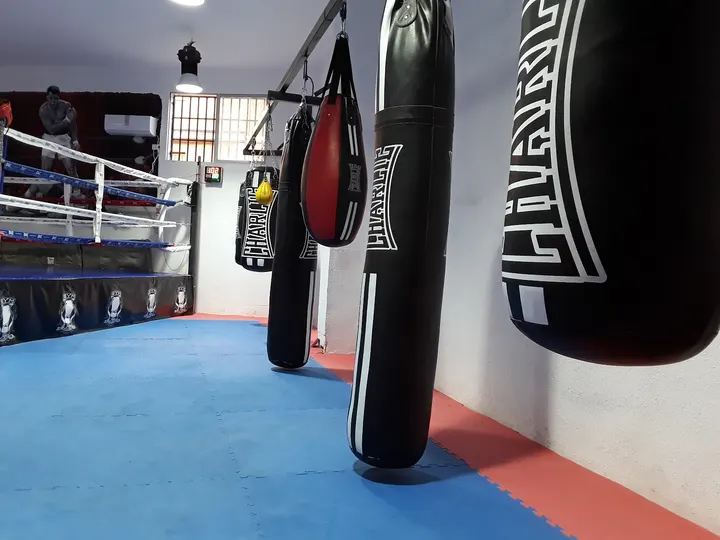 Gimnasio Boxeo La Roca — artes marciales-studio en Majadahonda — 3