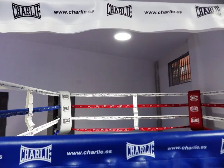 Gimnasio Boxeo La Roca — artes marciales-studio en Majadahonda — 4