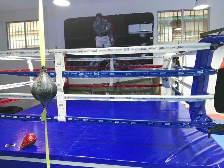 Gimnasio Boxeo La Roca — Artes marciales en Majadahonda