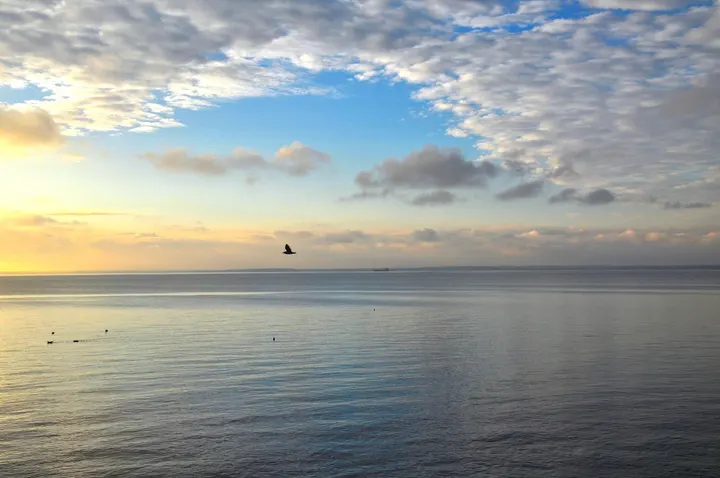 Stillastund — Wellness i Rynninge, Helsingborg