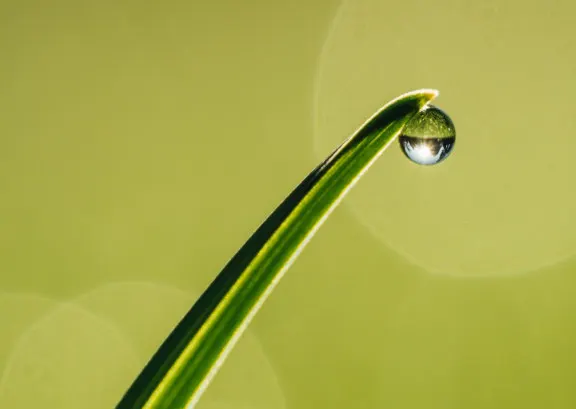 Mindfulness Trieste — Meditazione a Barriera Nuova, Trieste