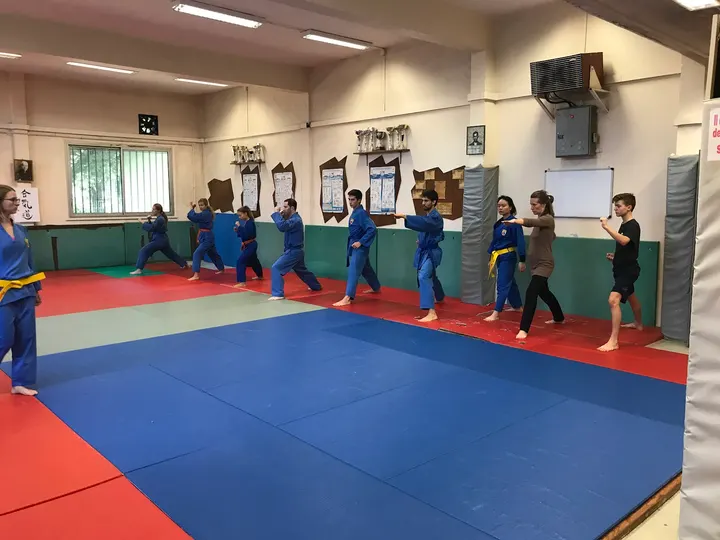 Arts martiaux Toulouse - Vovinam Viet Vo Dao - Jolimont — arts martiaux-studio à Toulouse — 3