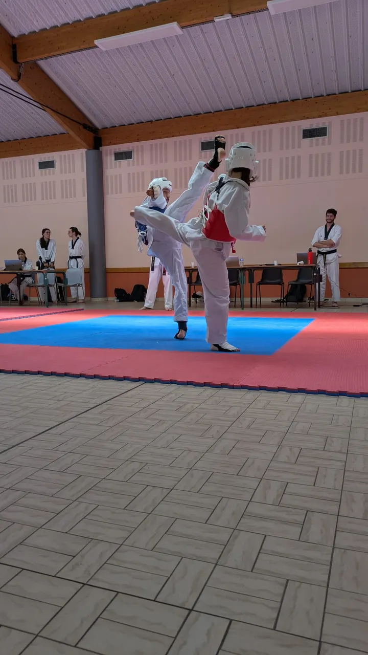 Taekwondo club du Parc — arts martiaux-studio aux Brotteaux, Lyon — 3