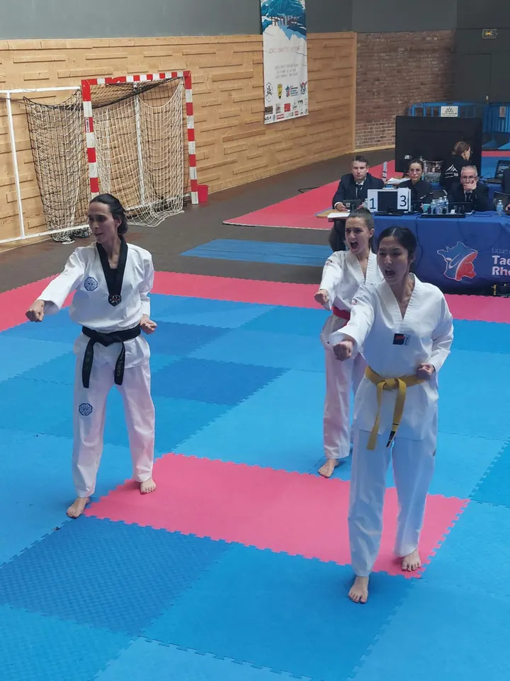 Taekwondo club du Parc — arts martiaux-studio à Lyon — 3