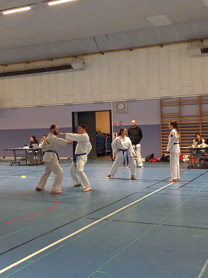 Taekwondo club du Parc — arts martiaux-studio à Lyon — 4